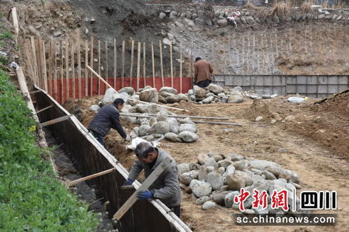 青川加速建设食用菌基地 打造特色产业 主力军